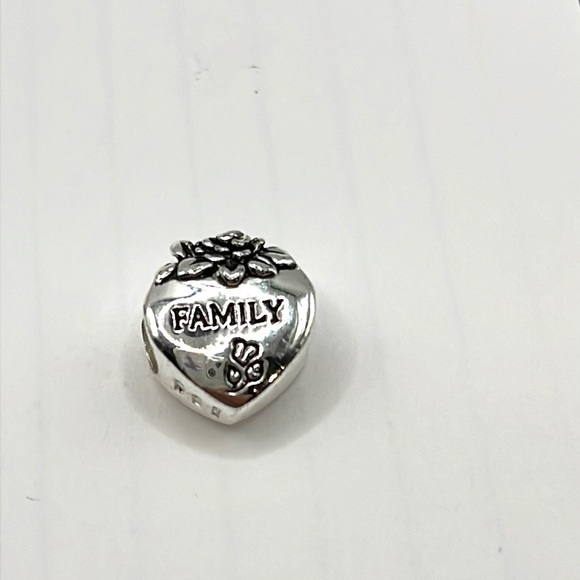 FAMILY Heart love charm Slide style charm! 925  SS European Style Special - Picture 6 of 6
